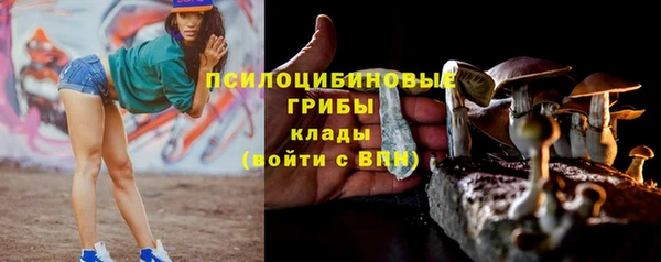 ALPHA PVP Лихославль