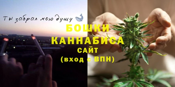 хмурый Осинники