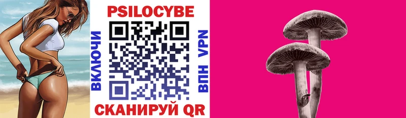 Псилоцибиновые грибы GOLDEN TEACHER  дарнет шоп  Ленинск 